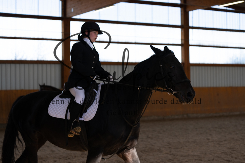 A7V02179 | Turnier/Reitfotograf