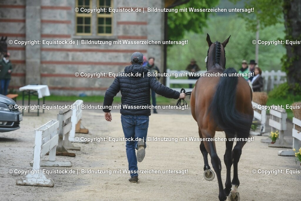 20230514_Impressionen_0069 | equistock