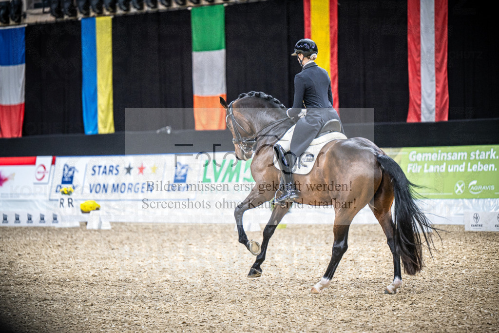 DOS_0014 | Entdecke hochwertige Reitturnierfotos von Foto Oger. Professionell, emotional und authentisch – jetzt Lieblingsmomente im Shop bestellen.Deutschlandweite Turnierfotografie. - Realisiert mit Pictrs.com