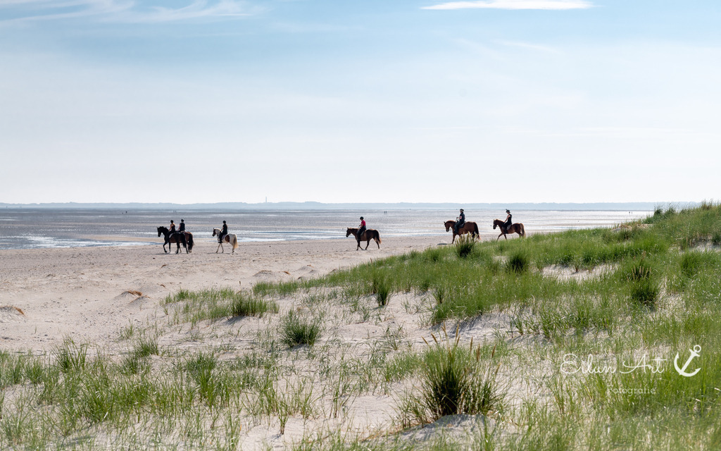 EAF_2720 | Eilun-Art-Fotografie Levke Martens, ihre Fotografin für Immobilien- und Landschaftsfotografie auf Föhr, Föhrer Motive als Poster, Leinwand, hinter Acrylglas oder stelle dir deinen eigenen Monatskalender zusammen, mit nur einem Klick