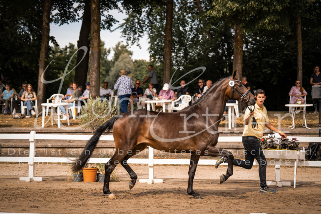 7.Fr00023 | Leoni Ertmer Photography - Realisiert mit Pictrs.com