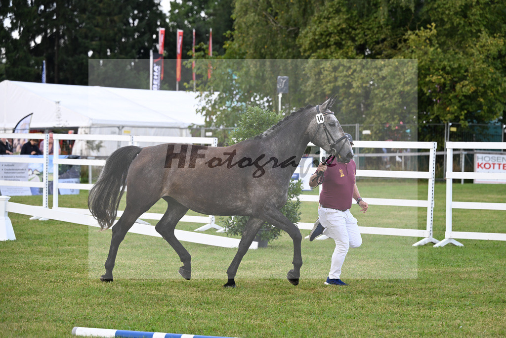 Kat-Nr. 14 Fleur Delacour v. Cayado_Dietrich_30250216 | hf-fotografie - Realisiert mit Pictrs.com