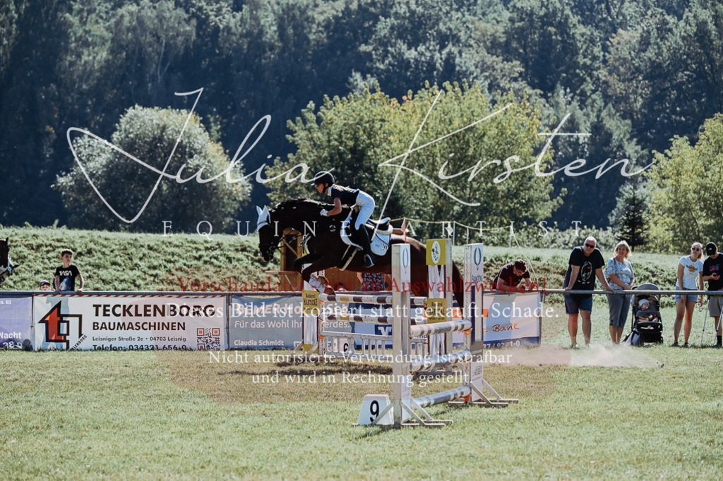 DSC_5856 | Pferde- und Turnierfotografie in Westsachsen. Pferdeportraits, Auftragszeichnungen und intuitive Kunst.