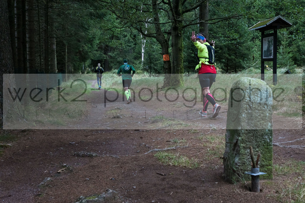 Herbstlauf | Neuhaus/Rwg. - Masserberg am 3. Oktober 2020