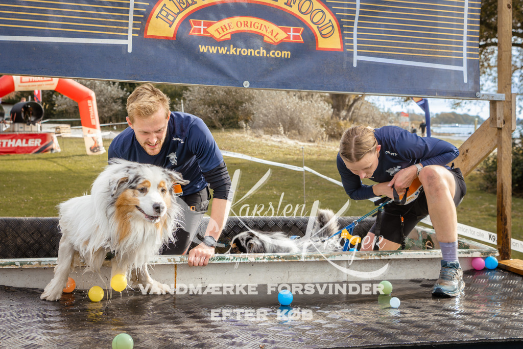 1351_ZZ92454-2 | kk-dogfotos