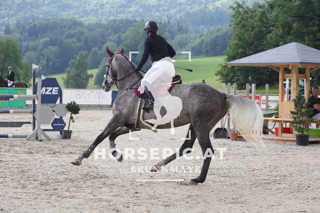 0P6A4086 | Willkommen bei Brunnmayr - Design & Fotografie – Ihrem Spezialisten für Reitturniere und Pferdeveranstaltungen in Oberösterreich, Salzburg und Bayern! Seit über 17 Jahren sind wir leidenschaftlich dabei.