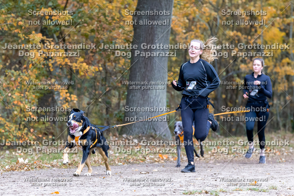 Dog Paparazzi - SD CaniX Championship 2025-429 | Dog Paparazzi Jeanette Grottendiek Fotografie & Videografie - Realisiert mit Pictrs.com