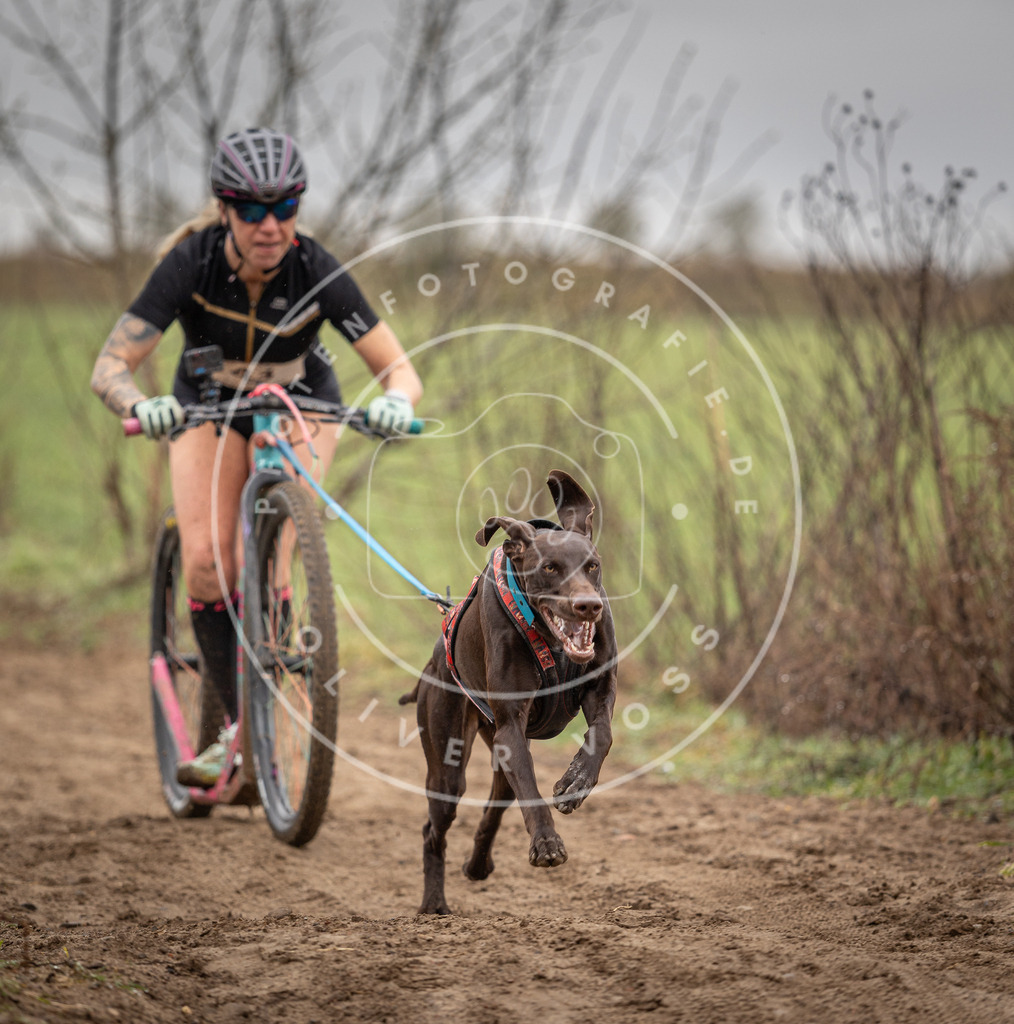 DV3A9169 | Hundefotografie, Tierfotograf, Pfotenfotografie, Fotoshooting Hund, Hunde Portrait, Hundesport, Hundeportraits, Heideshooting, Hunde, Sportfotograf, Hundefotograf, Turnierhundsport, THS,  - Realisiert mit Pictrs.com
