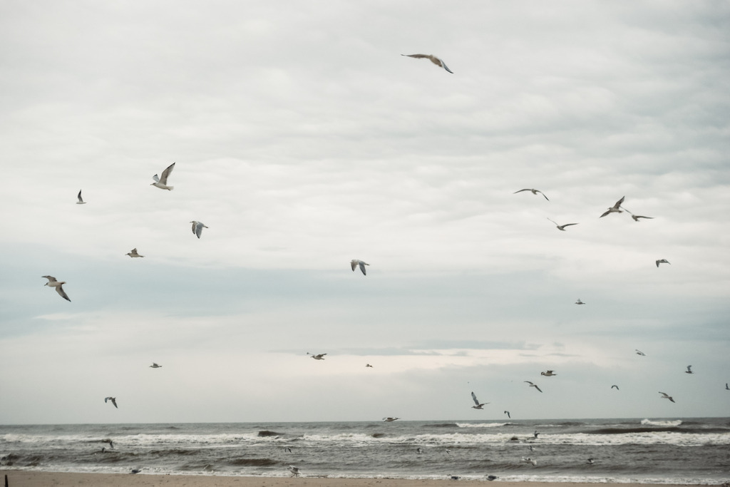 DSC03562 | AHORN PHOTOGRAPHY - Realisiert mit Pictrs.com