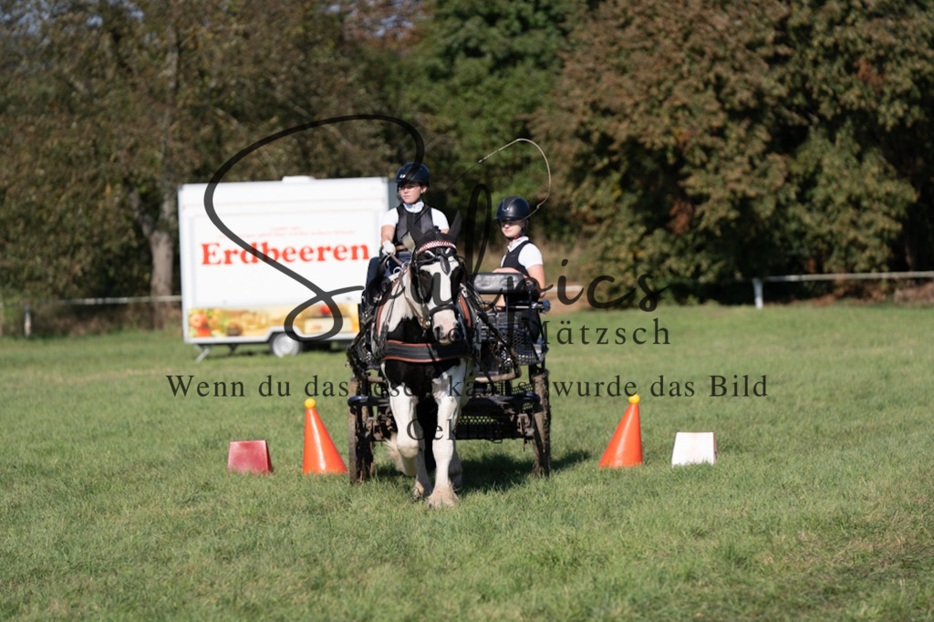 A7V04374 | Pferdefotograf