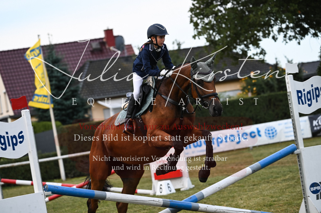 DSC_5668 | Pferde- und Turnierfotografie in Westsachsen. Pferdeportraits, Auftragszeichnungen und intuitive Kunst.