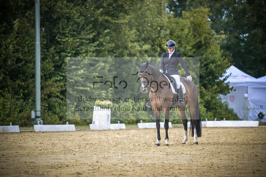 DOS_0188 | Entdecke hochwertige Reitturnierfotos von Foto Oger. Professionell, emotional und authentisch – jetzt Lieblingsmomente im Shop bestellen.Deutschlandweite Turnierfotografie. - Realisiert mit Pictrs.com
