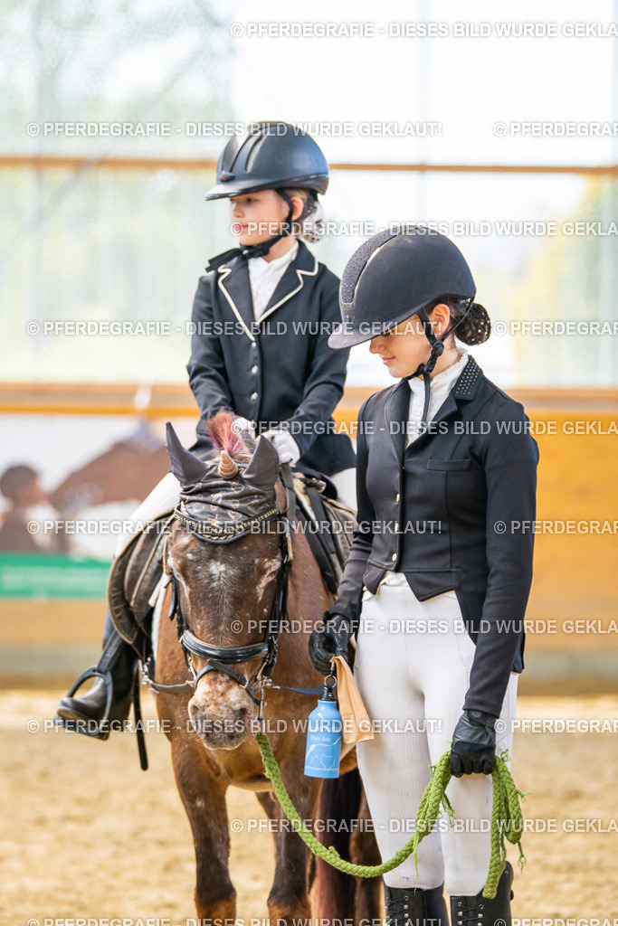 DSC00836 | Pferdegrafie