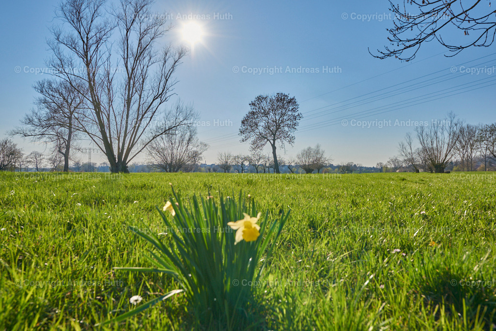 Blick aus der Elsteraue in Richtung Reuden 02 | Bedeutsame Landschaften Deutschlands - Realisiert mit Pictrs.com
