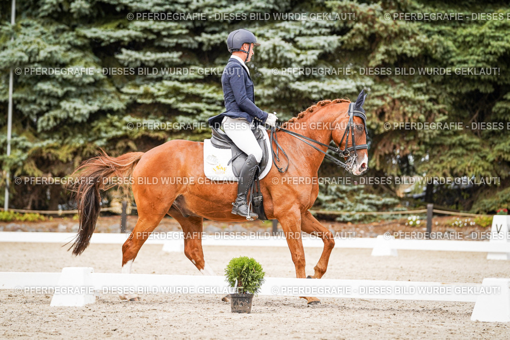 DSC06978 | Pferdegrafie