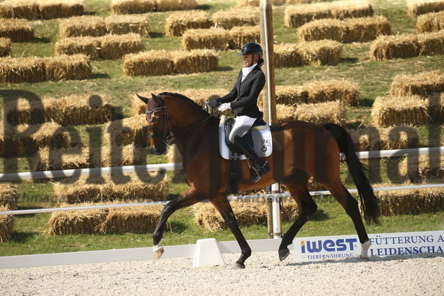 Birkhof_2022_Dressur_Kl.S_Yara Reichert_Ferromir (6) | Alle Fotos der Reiterjournal Fotografin Doris Matthaes im Reiterjournal Online-Fotoshop. - Realized with Pictrs.com