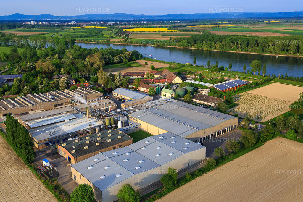 Luftbild: Intersnack Deutschland SE Werk Petersau am Rheinufer im Ortsteil Mörsch in Frankenthal im Bundesland Rheinland-Pfalz in Deutschland. Foto: IMG_088197.jpg vom 09.05.2016 durch Werner Riehm/FLY-FOTO.deWWW.INTERSNACK.DE