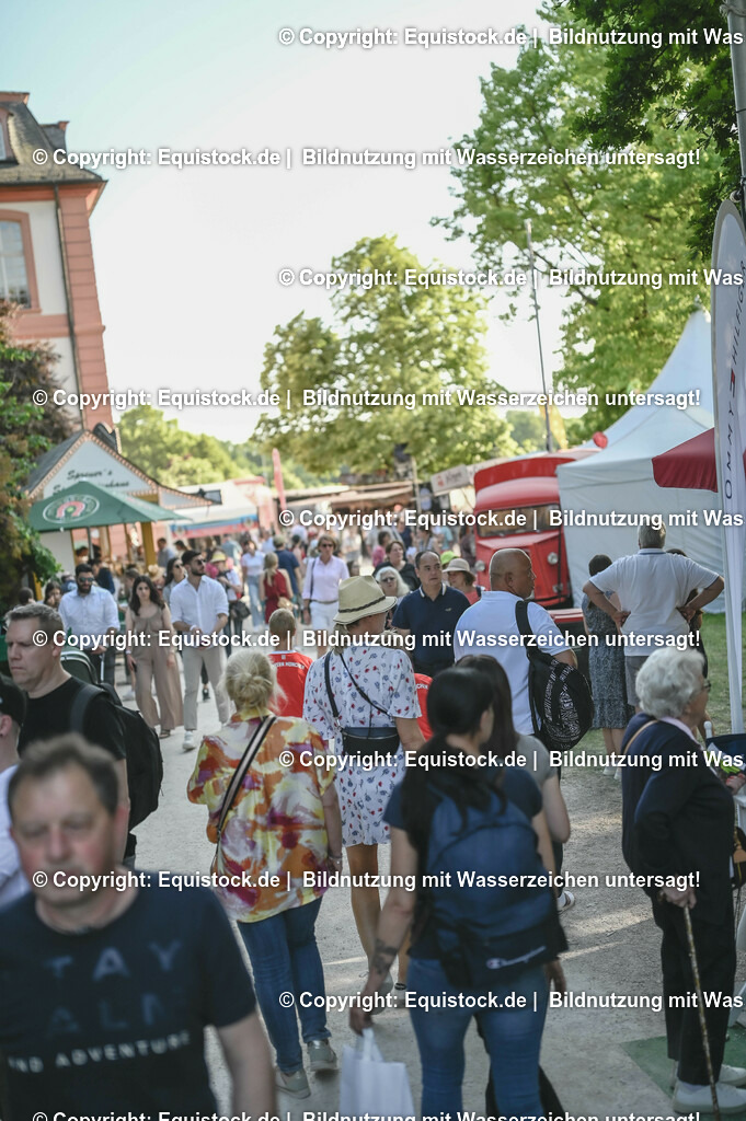 D78_3775 | equistock