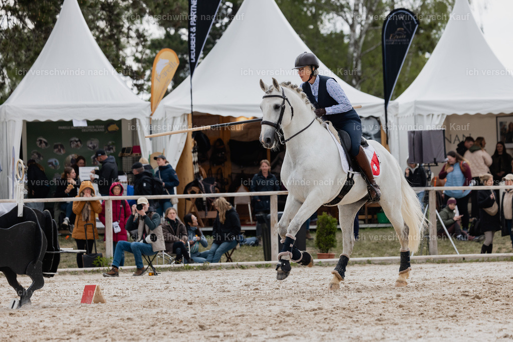 PI26_SP_StoibphotographyC2_C2387.CR3 | working equitationturnier fotograf videograf stoibphotography marixx film working equitation deutschland reitsport turnierfotografie eventfotografie equestrian events