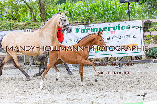 2 (1099) | mandyhollmannphotographie