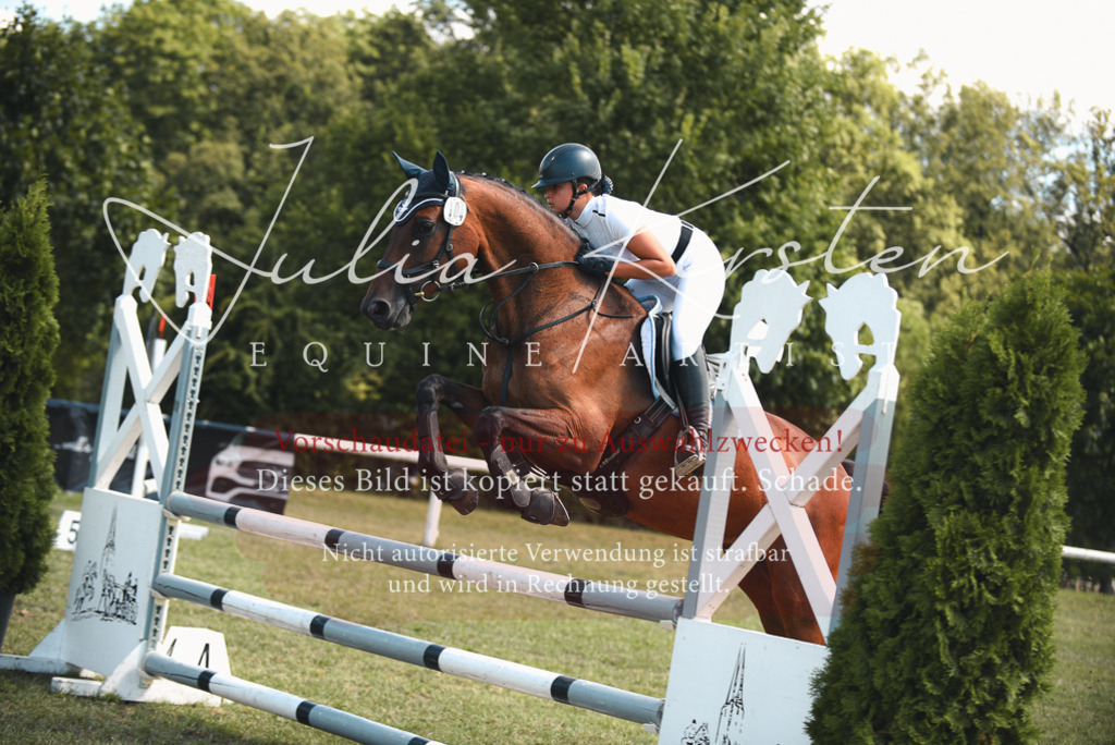 DSC_6525 | Pferde- und Turnierfotografie in Westsachsen. Pferdeportraits, Auftragszeichnungen und intuitive Kunst.