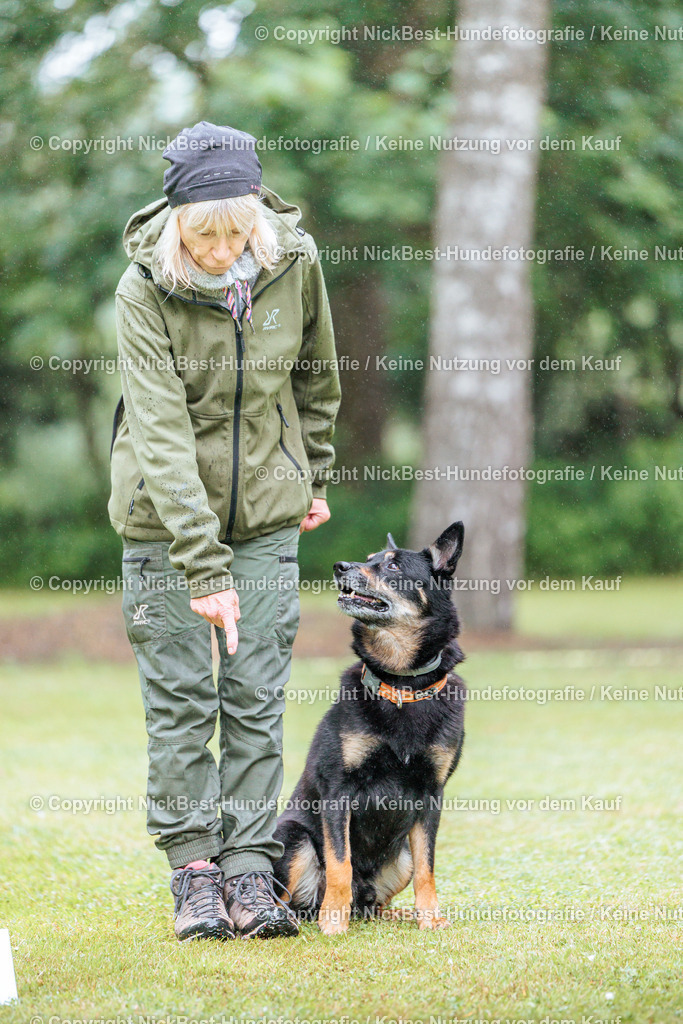 RO-Blumenthal-2026-Nickbest-Hundefotografie-0018 | Dein Hund! Dein Moment! Deine Erinnerungen! Hundefotografie in Bremen Blumenthal. Ich fange die besonderen Momente deines Vierbeiners ein – ob Indoor mit Blitzanlage oder in der freien Natur. Sicher dir dein Moment und dein Termin für eure Erinnerungen.