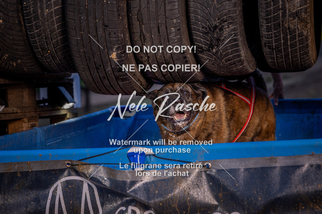 nelerasche_SummerNights26_Sa2100-2130_245 | nelerasche