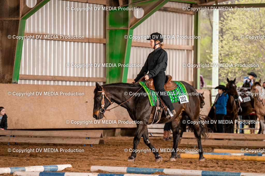 BA300580 | dv-media-shop - Realisiert mit Pictrs.com