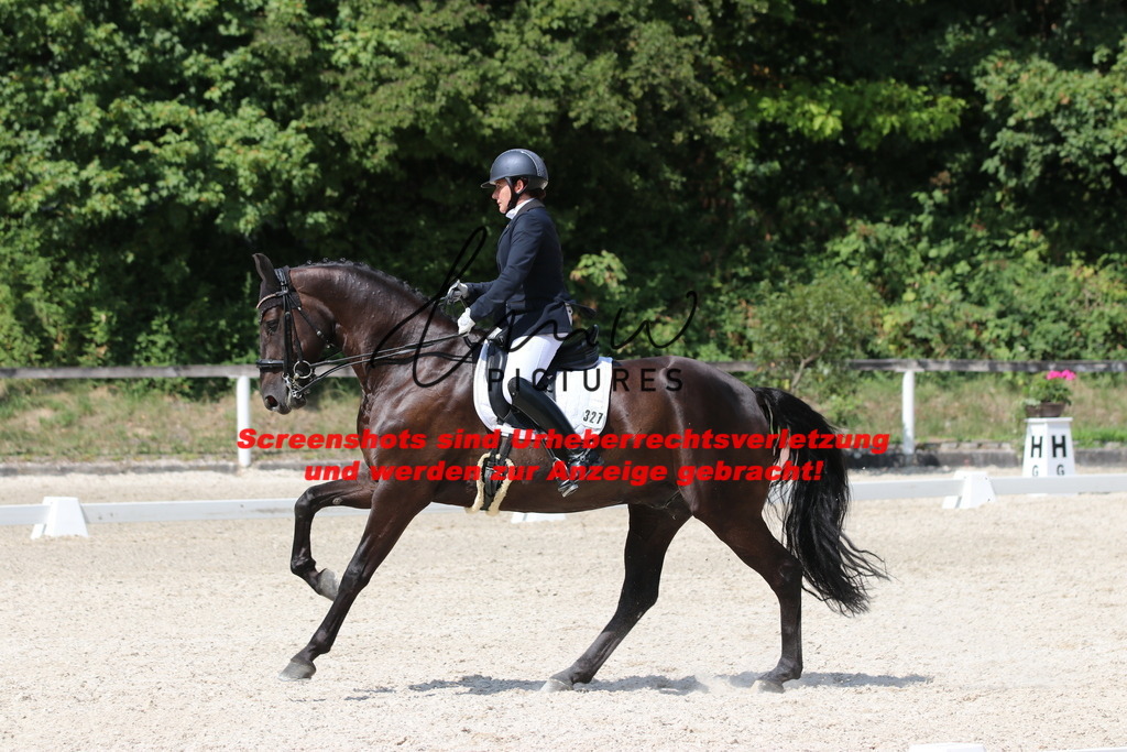 IMG_7283 | lmwpictures - Realisiert mit Pictrs.com