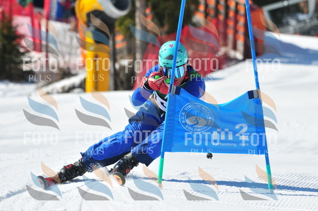 C4393 | holidayphoto