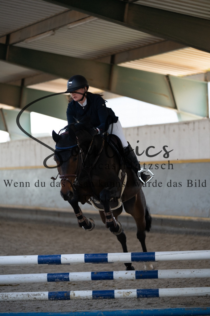 A7V06526 | Pferdefotograf