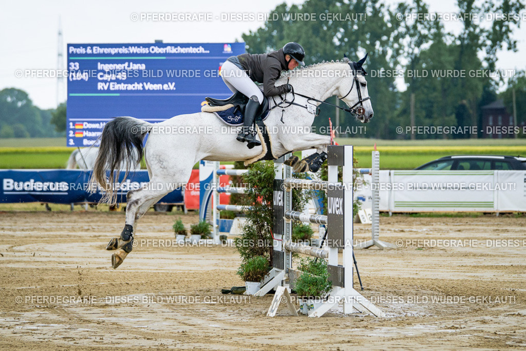 DSC04366 | Pferdegrafie