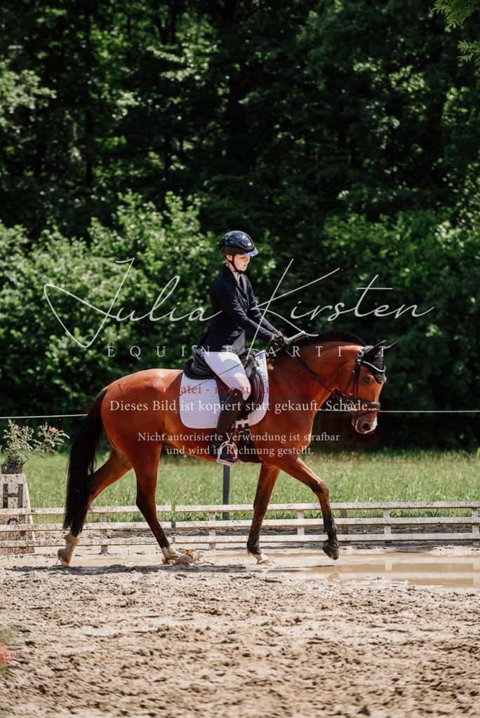 DSC_1719 | Pferde- und Turnierfotografie in Westsachsen. Pferdeportraits, Auftragszeichnungen und intuitive Kunst.
