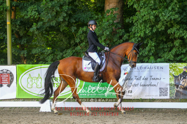 DKP42649 | Turniersportfotografie; Pferdefotografie; Dressurfotografie