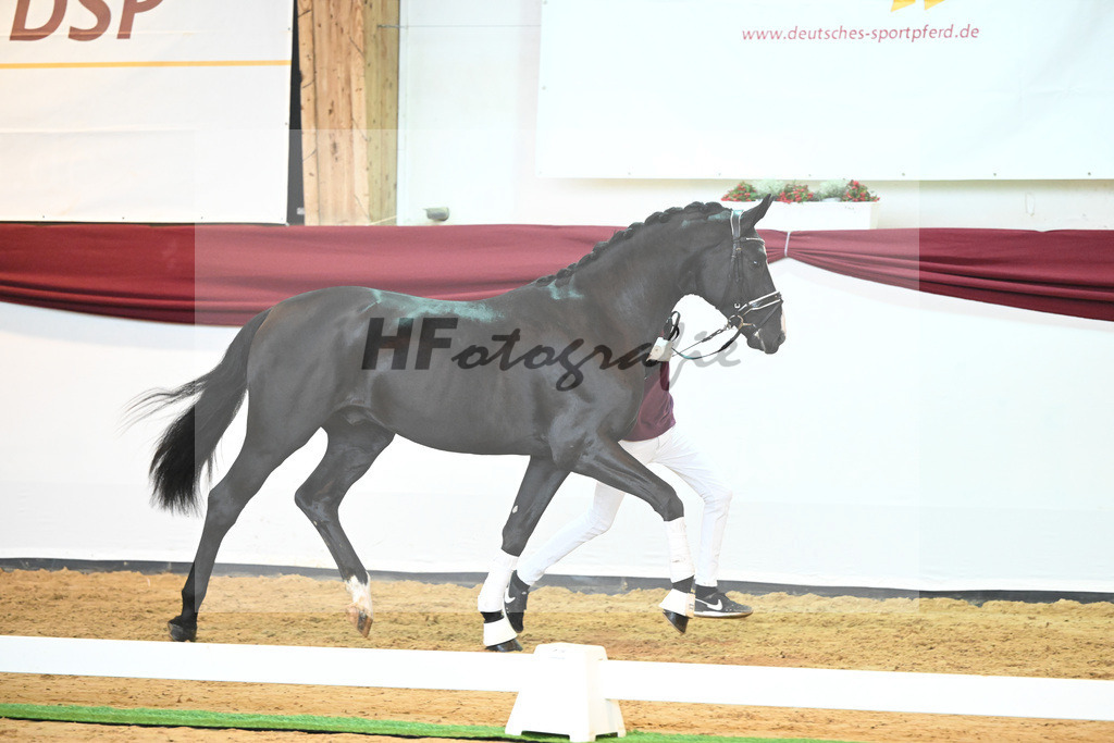 Kat-Nr. 34 v. Fuerstenball_Wurm_66220471 | hf-fotografie - Realisiert mit Pictrs.com