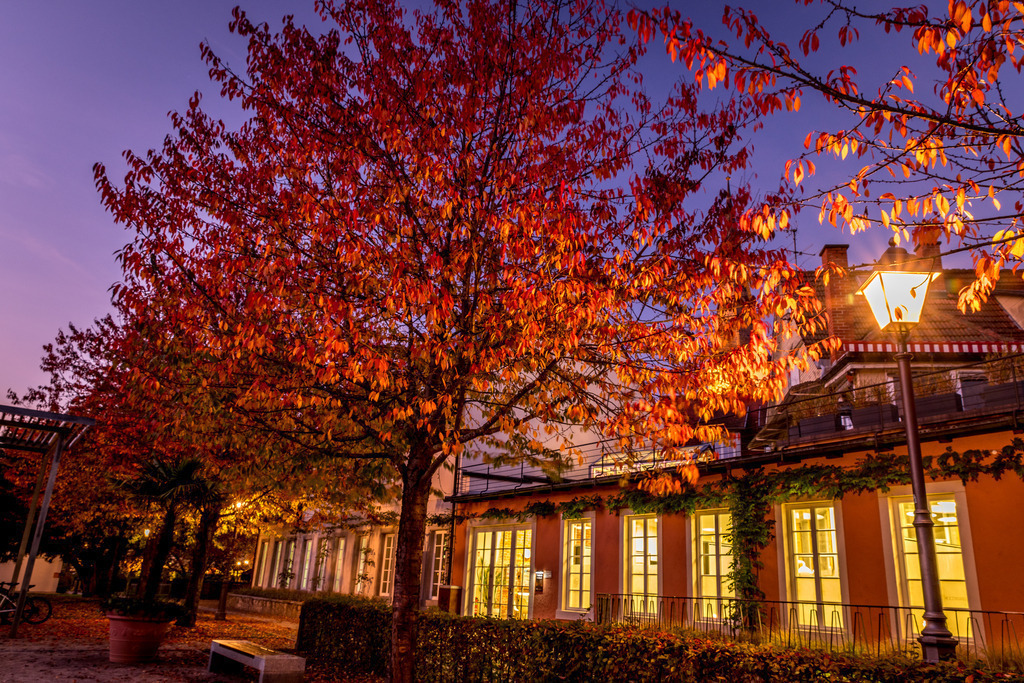 10 - Herbst an der Seilerbahn | Herbstliche Abendstimmung an der Seilerbahn - Realisiert mit Pictrs.com