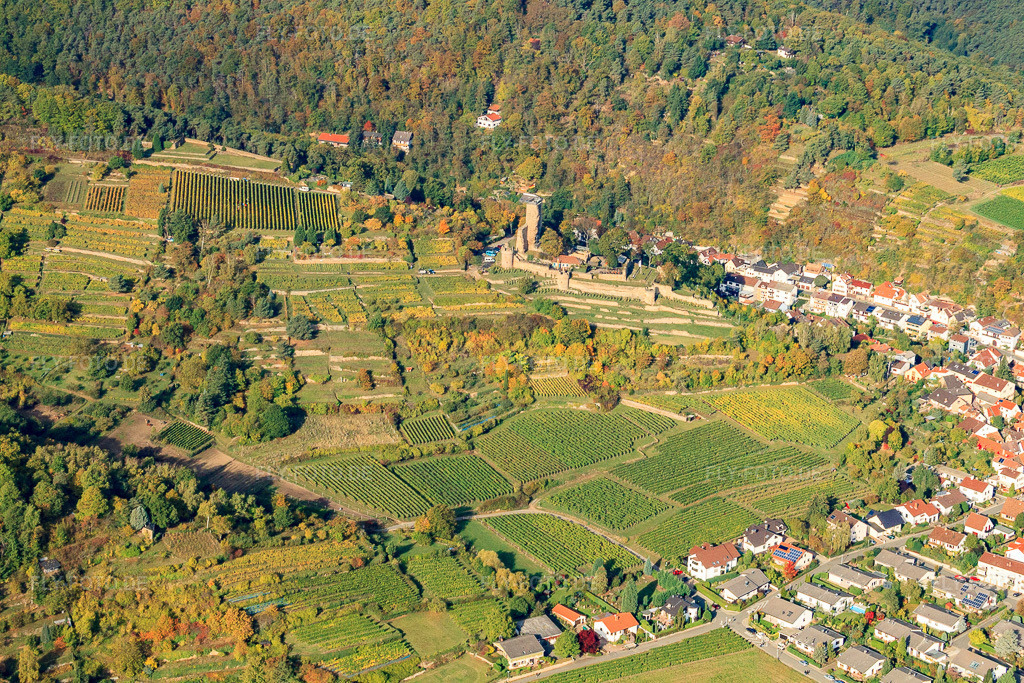Luftbild: Wachtenbur (Ruine Burg Wachenheim) am Haardtrand in Wachenheim an der Weinstraße im Bundesland Rheinland-Pfalz in Deutschland. Foto: IMG_21983.jpg vom 15.10.2009 durch Werner Riehm/FLY-FOTO.de