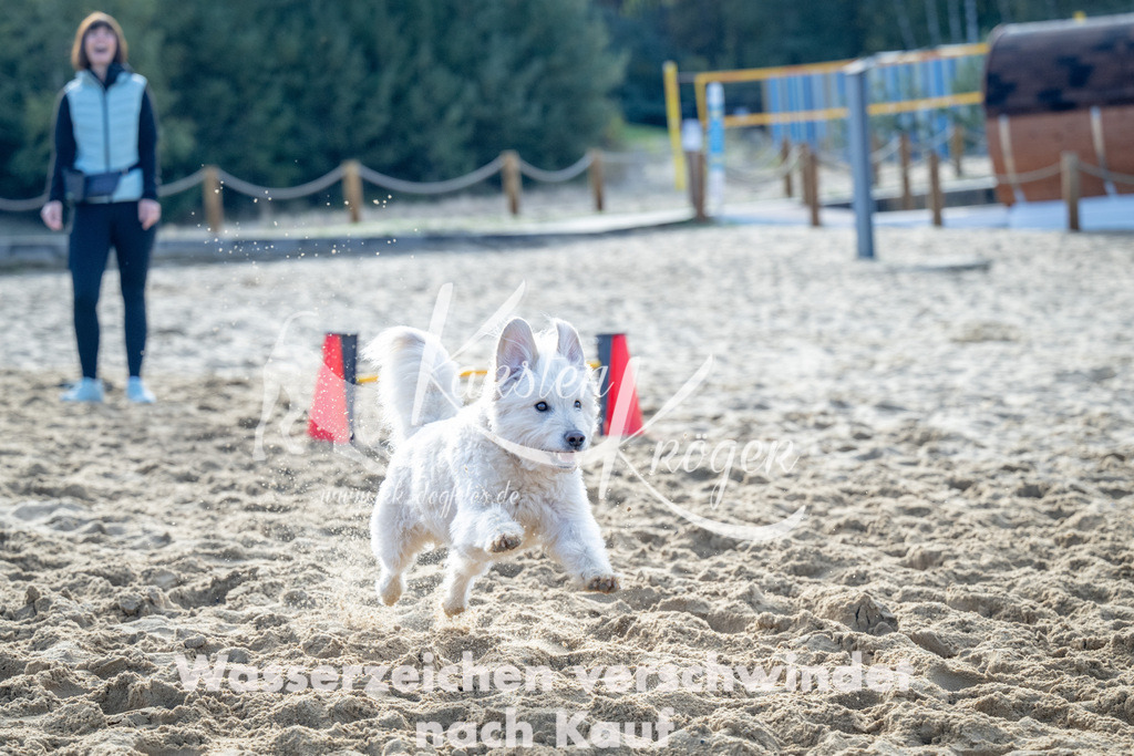 0955_ZZ93070 | kk-dogfotos