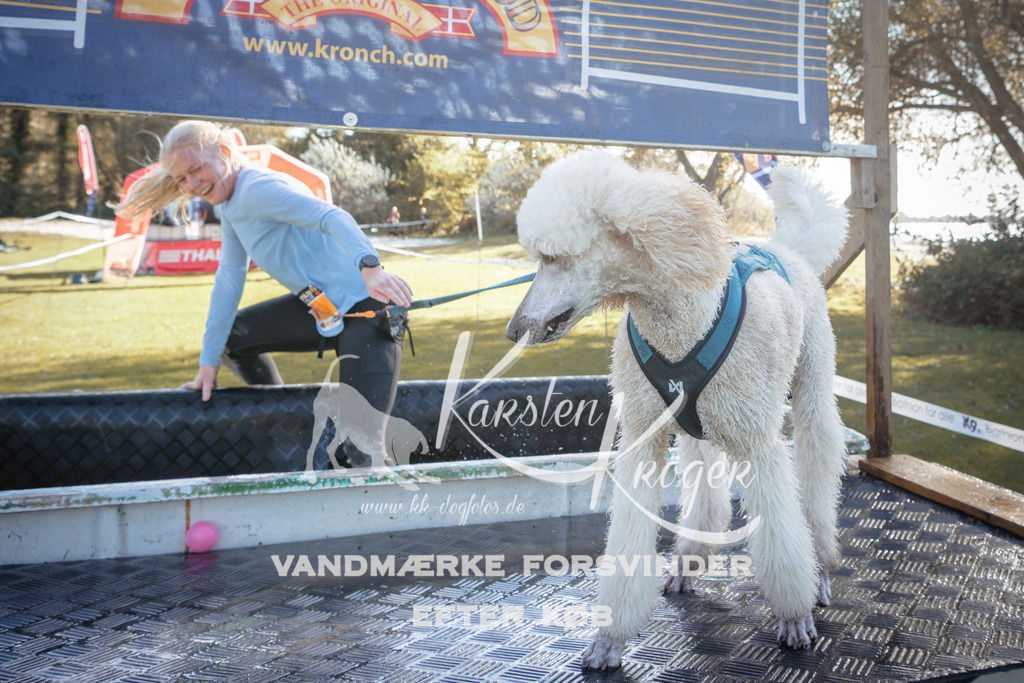 1220_ZZ95571 | kk-dogfotos