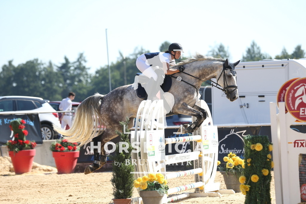 DL2Q2618 | Willkommen bei Brunnmayr - Design & Fotografie – Ihrem Spezialisten für Reitturniere und Pferdeveranstaltungen in Oberösterreich, Salzburg und Bayern! Seit über 17 Jahren sind wir leidenschaftlich dabei.