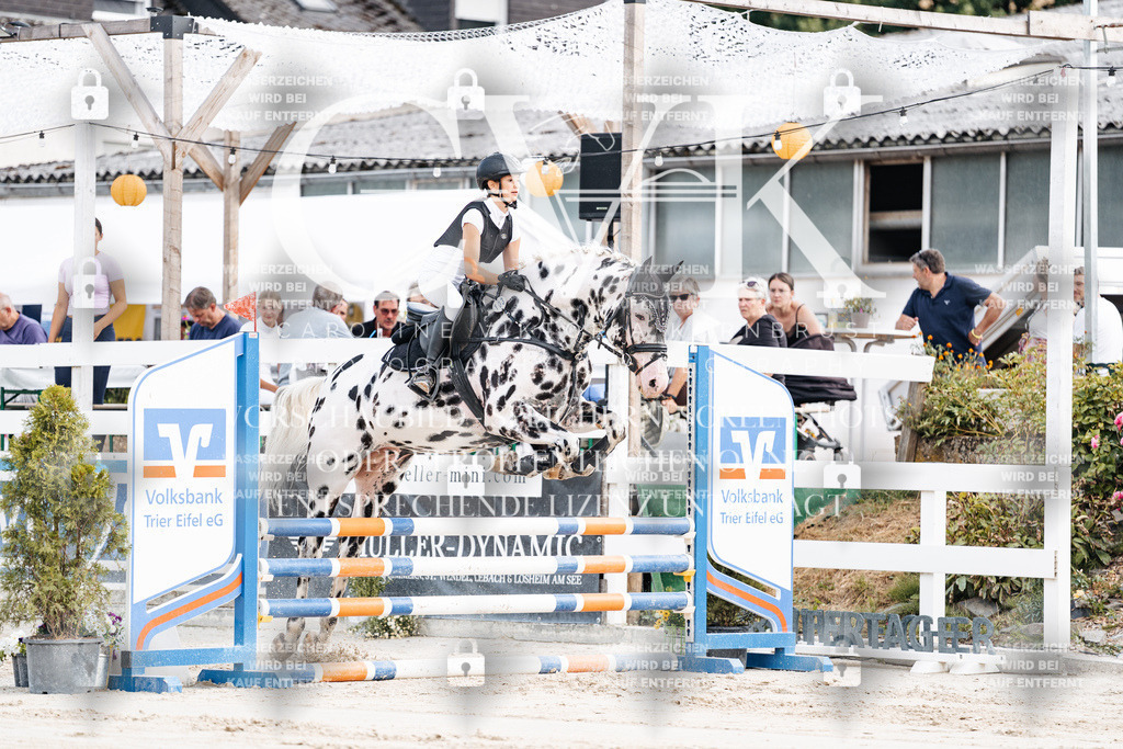 CK908943 | Turnierfotografie Pferdefotografie Trier Rheinland-Pfalz Pferdesport Reitsport Tierfotografie Sportfotografie Pferdevideo Pferdevideografie Equestrianvideography equestrianphotography  - Realisiert mit Pictrs.com