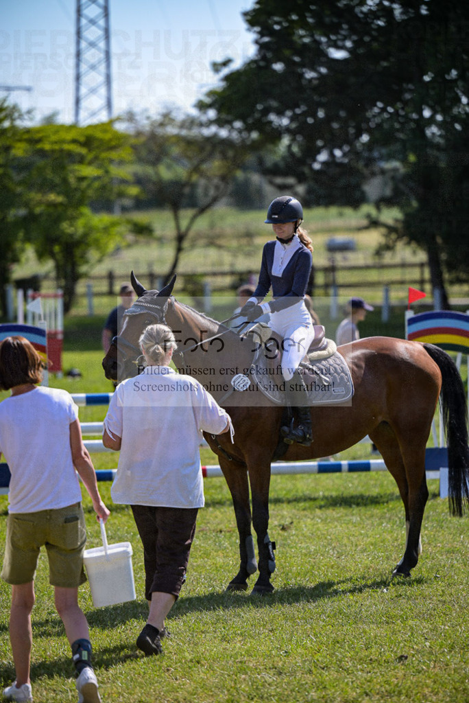 Reitturnier Voxtrup | Entdecke hochwertige Reitturnierfotos von Foto Oger. Professionell, emotional und authentisch – jetzt Lieblingsmomente im Shop bestellen. - Realisiert mit Pictrs.com