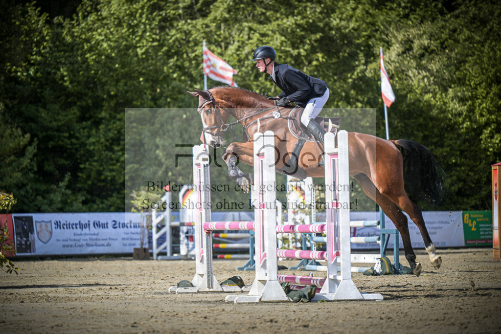 DOS_8373 | Entdecke hochwertige Reitturnierfotos von Foto Oger. Professionell, emotional und authentisch – jetzt Lieblingsmomente im Shop bestellen.Deutschlandweite Turnierfotografie. - Realisiert mit Pictrs.com