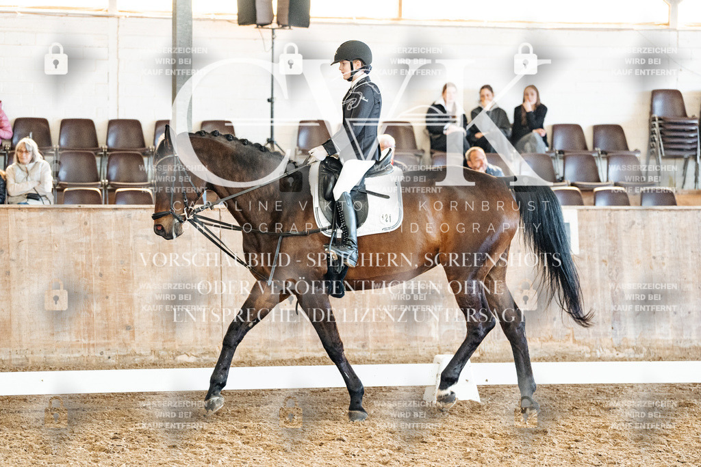 CK900278 | Turnierfotografie Pferdefotografie Trier Rheinland-Pfalz Pferdesport Reitsport Tierfotografie Sportfotografie Pferdevideo Pferdevideografie Equestrianvideography equestrianphotography  - Realisiert mit Pictrs.com