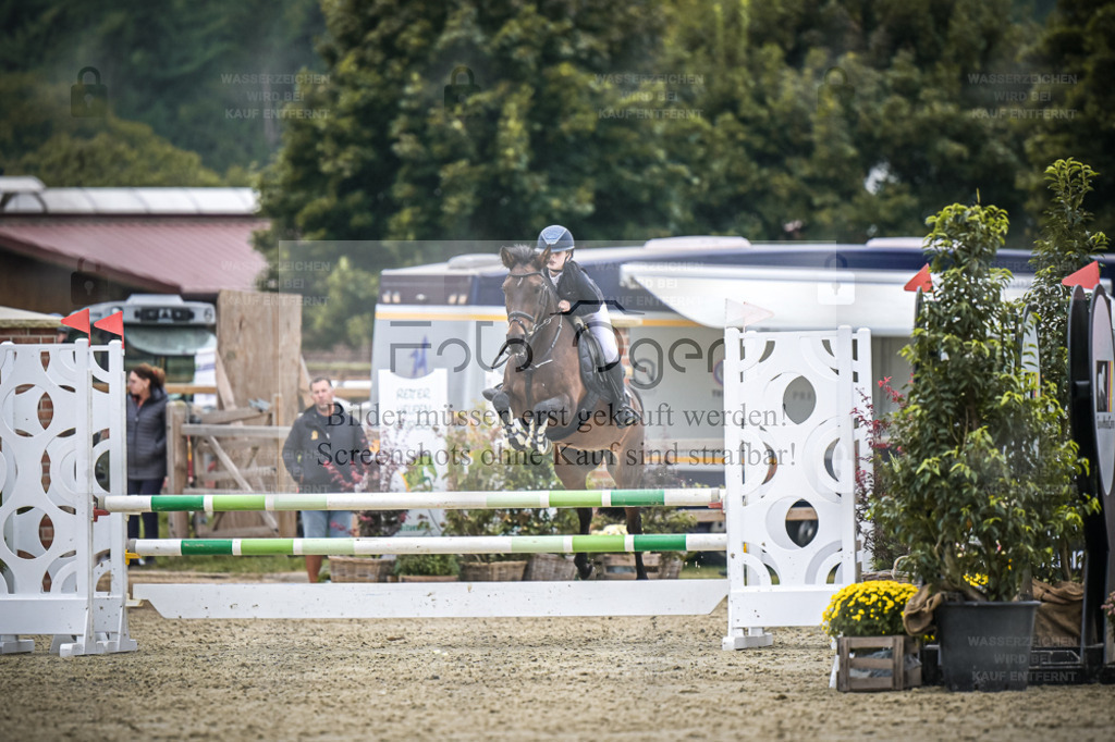 DOS_2065 | Entdecke hochwertige Reitturnierfotos von Foto Oger. Professionell, emotional und authentisch – jetzt Lieblingsmomente im Shop bestellen. - Realisiert mit Pictrs.com
