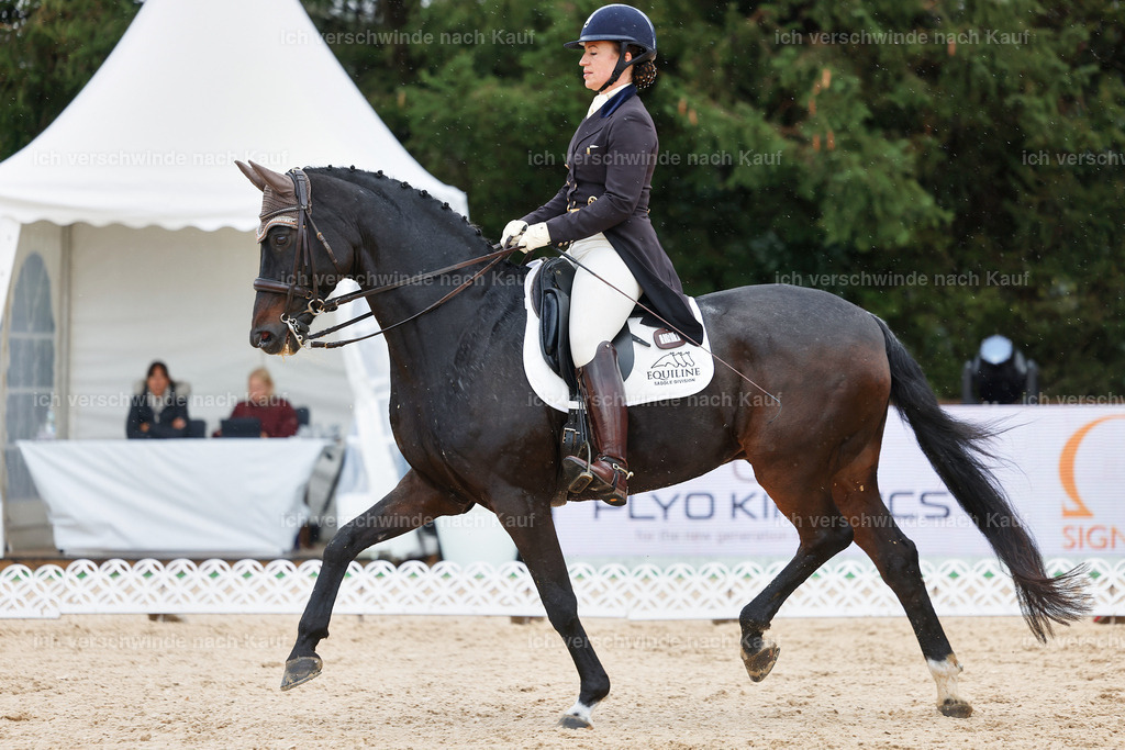 07-191-DRESSUR  S___  -StoibPH-4988 | working equitationturnier fotograf videograf stoibphotography marixx film working equitation deutschland reitsport turnierfotografie eventfotografie equestrian events