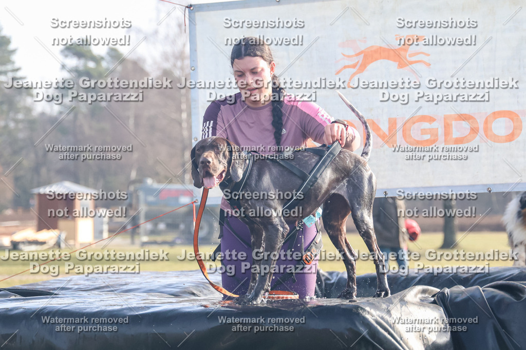 Dog Paparazzi - Strongdog North Mrz26-25 | Dog Paparazzi Jeanette Grottendiek Fotografie & Videografie - Realisiert mit Pictrs.com