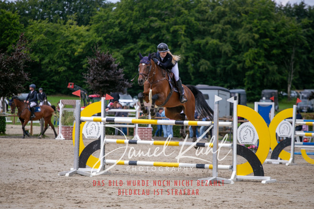 IMG_5688 | Turniersportfotografie; Pferdefotografie; Dressurfotografie