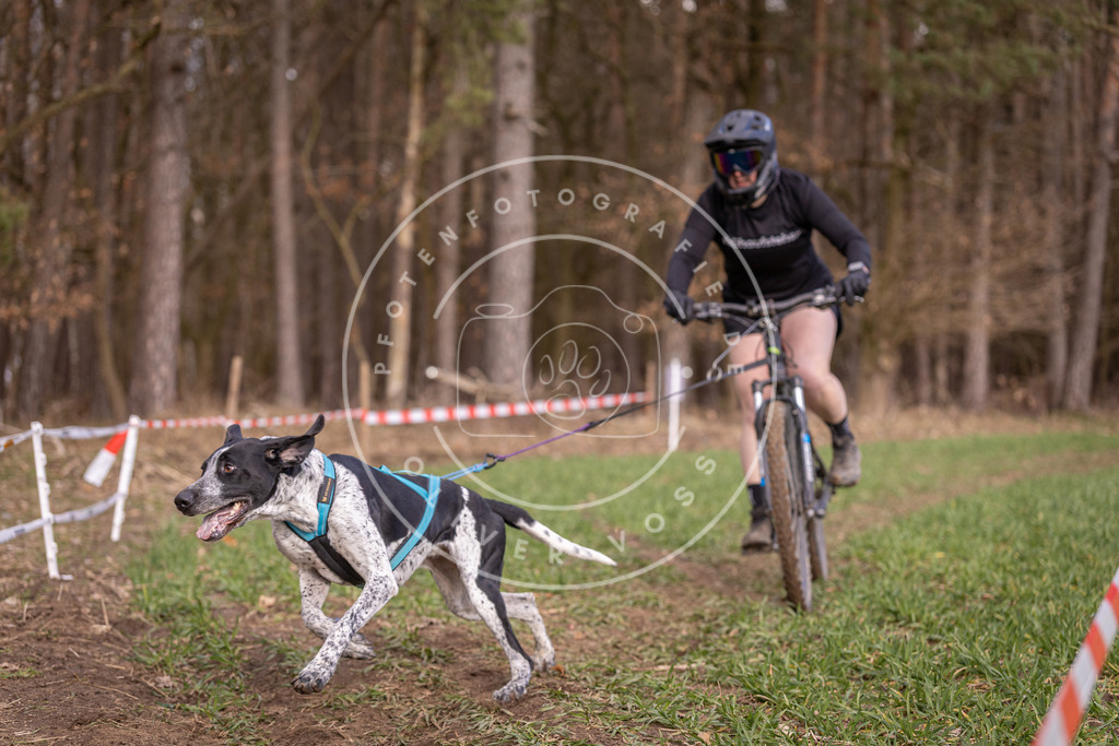 DV3A6170 | Hundefotografie, Tierfotograf, Pfotenfotografie, Fotoshooting Hund, Hunde Portrait, Hundesport, Hundeportraits, Heideshooting, Hunde, Sportfotograf, Hundefotograf, Turnierhundsport, THS,  - Realisiert mit Pictrs.com