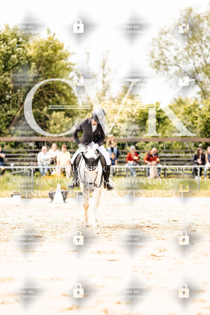 CK902288 | Turnierfotografie Pferdefotografie Trier Rheinland-Pfalz Pferdesport Reitsport Tierfotografie Sportfotografie Pferdevideo Pferdevideografie Equestrianvideography equestrianphotography  - Realisiert mit Pictrs.com